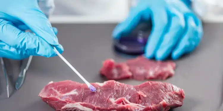 Anvisa bloqueou a comercialização de carnes contaminadas por bactéria
