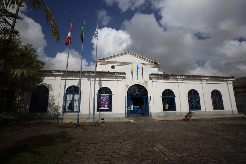 Animação em Alta no Curro Velho: Workshops, Mostras e Muito Mais!
