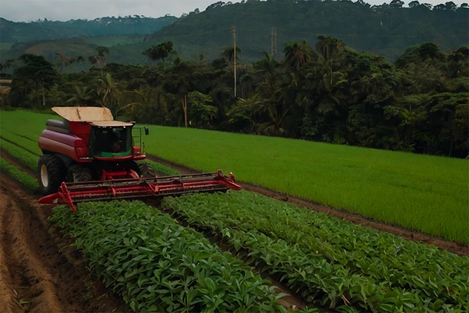 São Paulo lidera exportação agropecuária do Brasil em 2024
